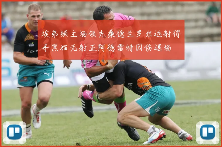 埃弗顿主场领先桑德兰罗尔远射得手黑猫无射正阿德雷特因伤退场