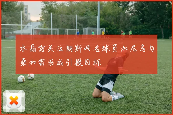 水晶宫关注朗斯两名球员加尼乌与桑加雷或成引援目标