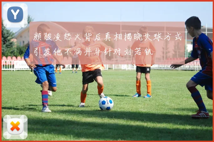 颜骏凌怒火背后真相揭晓失球方式引发他不满并非针对刘若钒