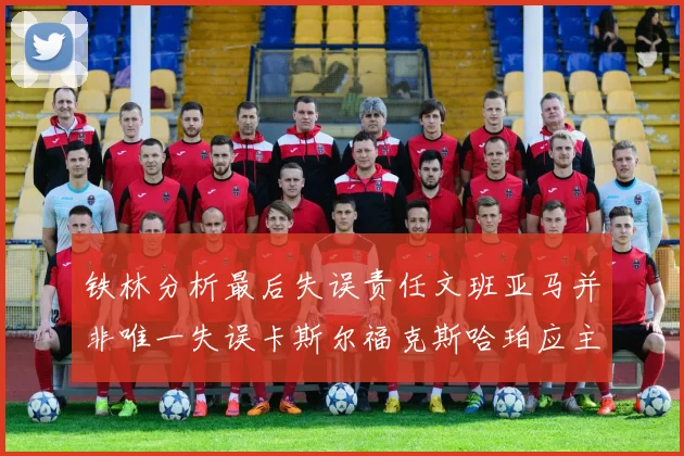 铁林分析最后失误责任文班亚马并非唯一失误卡斯尔福克斯哈珀应主动接球